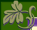 Natural Therapies on Martha's Vineyard